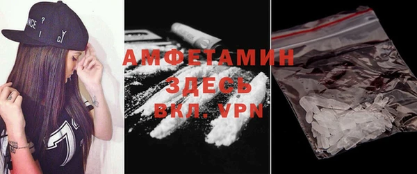 гашик Пересвет