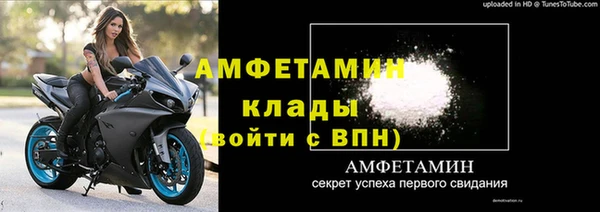 гашик Пересвет