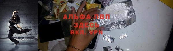 гашик Пересвет