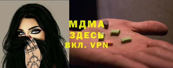 гашик Пересвет