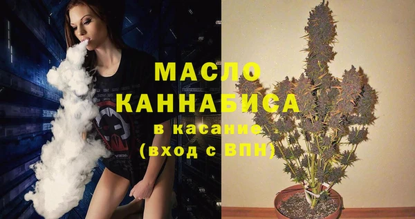 гашик Пересвет