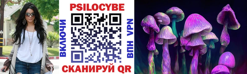 Псилоцибиновые грибы Psilocybe  ссылка на мегу ССЫЛКА  Бодайбо  где продают наркотики 